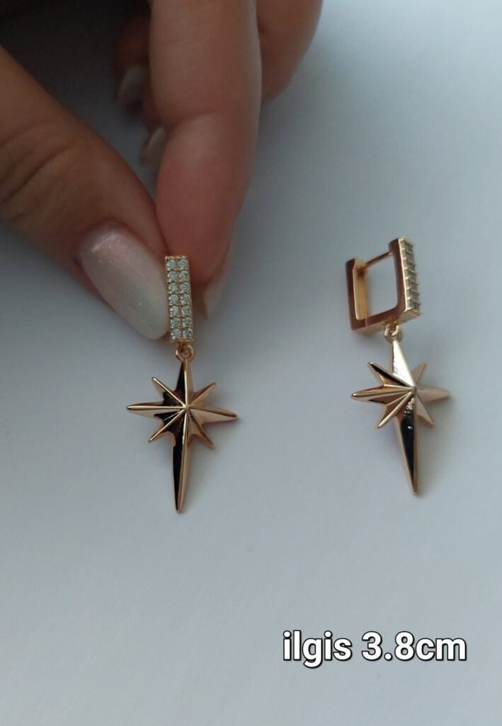 Kabantys auskarai su žvaigžde (3,8cm.)